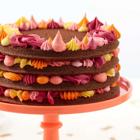 La décoration de gâteau à l'aérographe (airbrush) - Féerie cake
